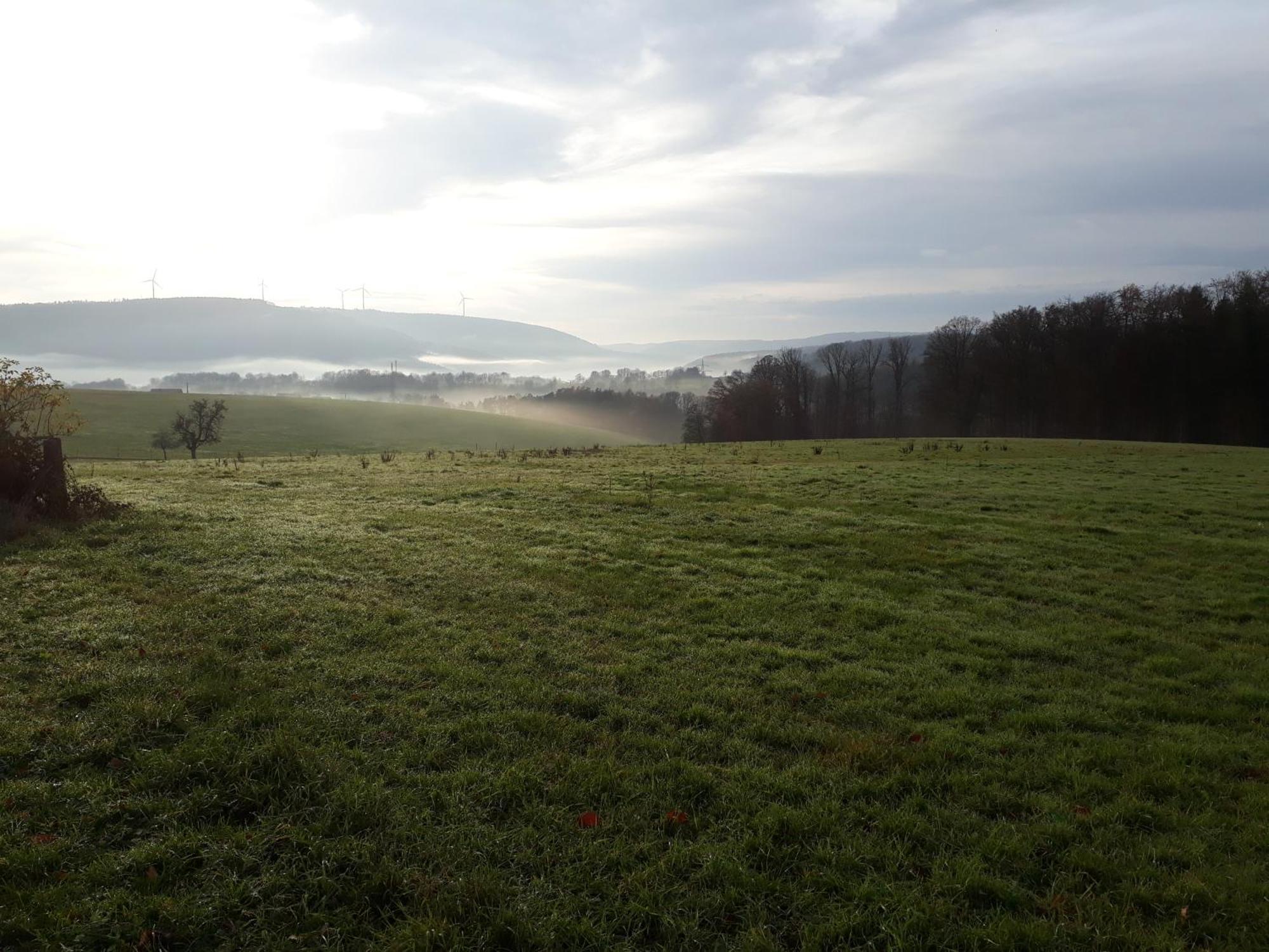 Ellernhof Im Spessart Villa Stadtprozelten Exteriör bild