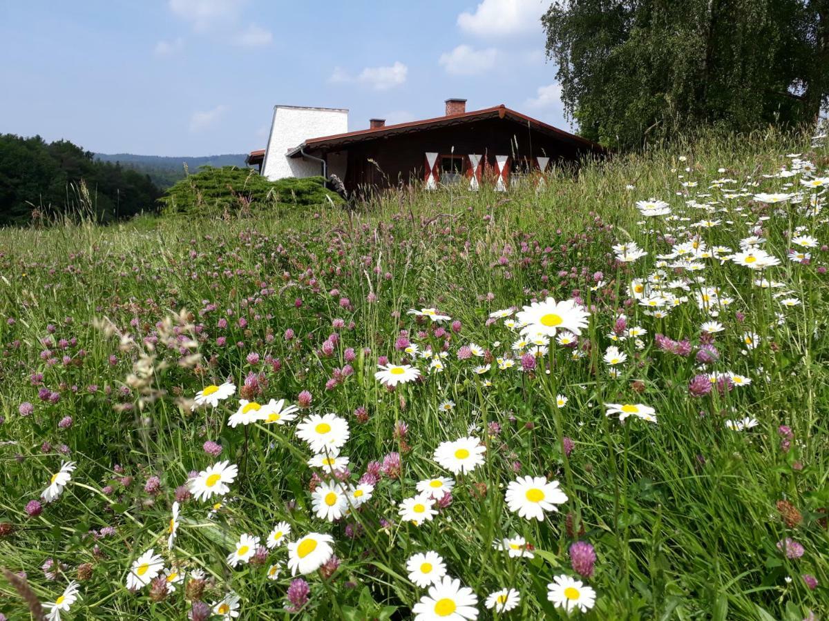 Ellernhof Im Spessart Villa Stadtprozelten Exteriör bild