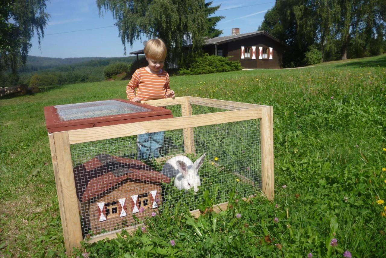 Ellernhof Im Spessart Villa Stadtprozelten Rum bild